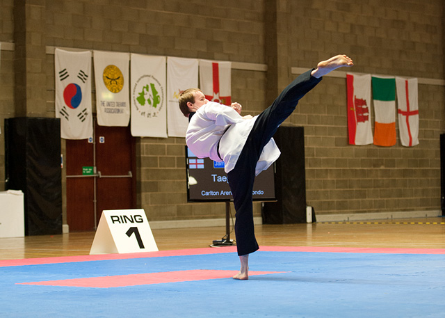 Northern Ireland International Open 2013