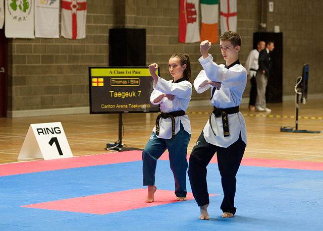 Northern Ireland International Open 2013