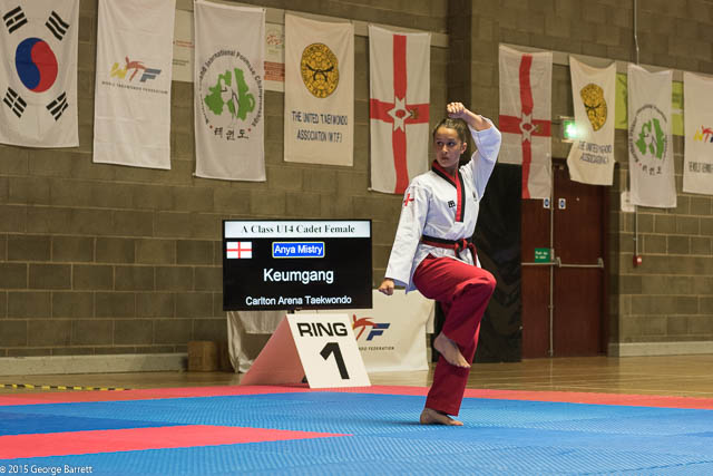 Northern Ireland International Open 2015