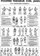 Chil Jang
